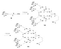 Figure 106103567-A0304-12-0215-205