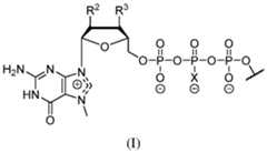 Figure imgf000212_0001