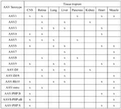 Figure imgf000069_0001