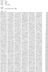 Figure IDA0002536600790000551