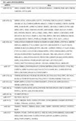 Figure BDA0003347010100000401