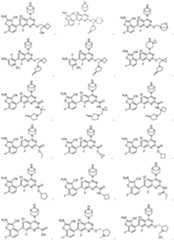 Figure PCTCN2022136857-appb-100006