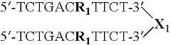 Figure US07851453-20101214-C00031