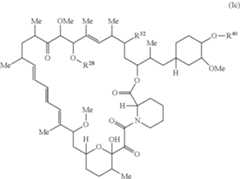 Figure US11364300-20220621-C00001