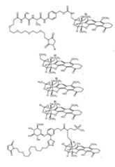 Figure imgf000270_0001