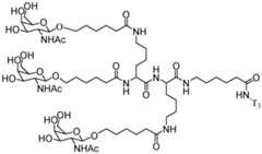 Figure imgf000290_0001