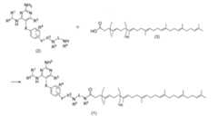 Figure JPOXMLDOC01-appb-C000014
