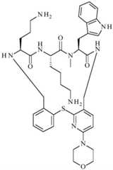 Figure BDA0001640213710005251