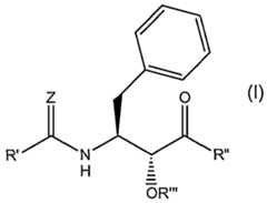 Figure imgf000007_0002