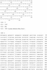 Figure IDA00002262292500031