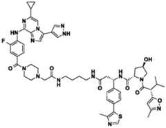 Figure BDA0002964098100002042