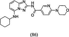 Figure GPA00001035513101011