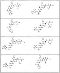 Figure imgf000262_0001