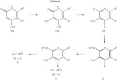 Figure US07067658-20060627-C00009