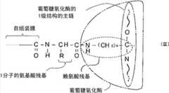 Figure FDA00002805172400021