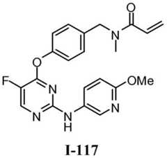 Figure BDA0001453135130002502