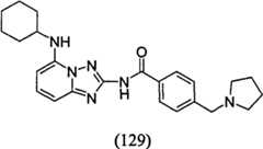 Figure GPA00001035513101192