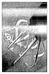 Figure 112005510106899-PCT00373