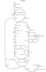 Figure US06207856-20010327-C00001