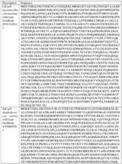 Figure imgf000128_0001