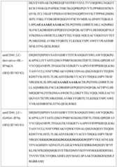 Figure imgf000083_0001