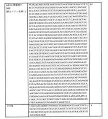 Figure 0007438604000087