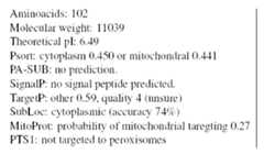 Figure imgf000124_0001
