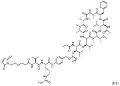 Figure imgf000092_0001