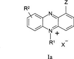 Figure BPA00001263293900051