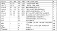 Figure BDA0000429500830000361