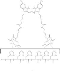 Figure US07371745-20080513-C00011