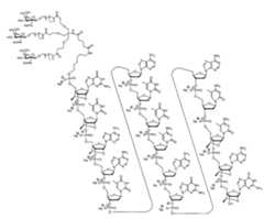 Figure 0007422816000019