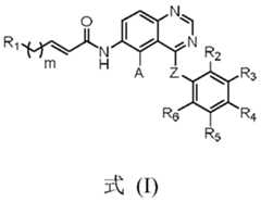 Figure PCTCN2021087774-appb-000001
