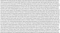 Figure PCTCN2022073808-appb-000152