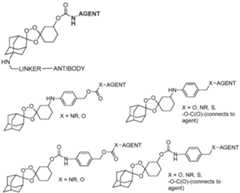 Figure imgf000113_0001