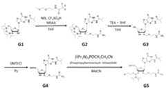 Figure JPOXMLDOC01-appb-C000023