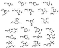 Figure 112007011503269-PCT00015