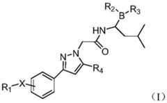 Figure BDA0002639672300000042