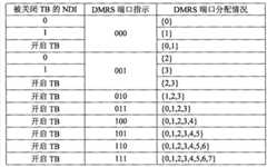 Figure GSA00000022958800031