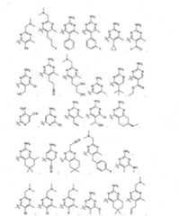 Figure imgf000100_0001