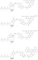 Figure US10570446-20200225-C00002