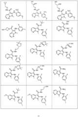 Figure imgf000078_0001