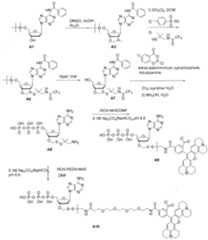 Figure imgf000572_0001