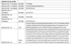 Figure imgf000023_0001
