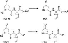 Figure BSA00000676350900321