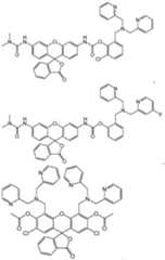 Figure imgf000012_0001