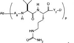 Figure A2004800397060008C1