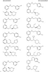 Figure imgf000123_0001