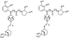 Figure imgf000091_0001