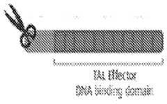 Figure imgf000024_0002